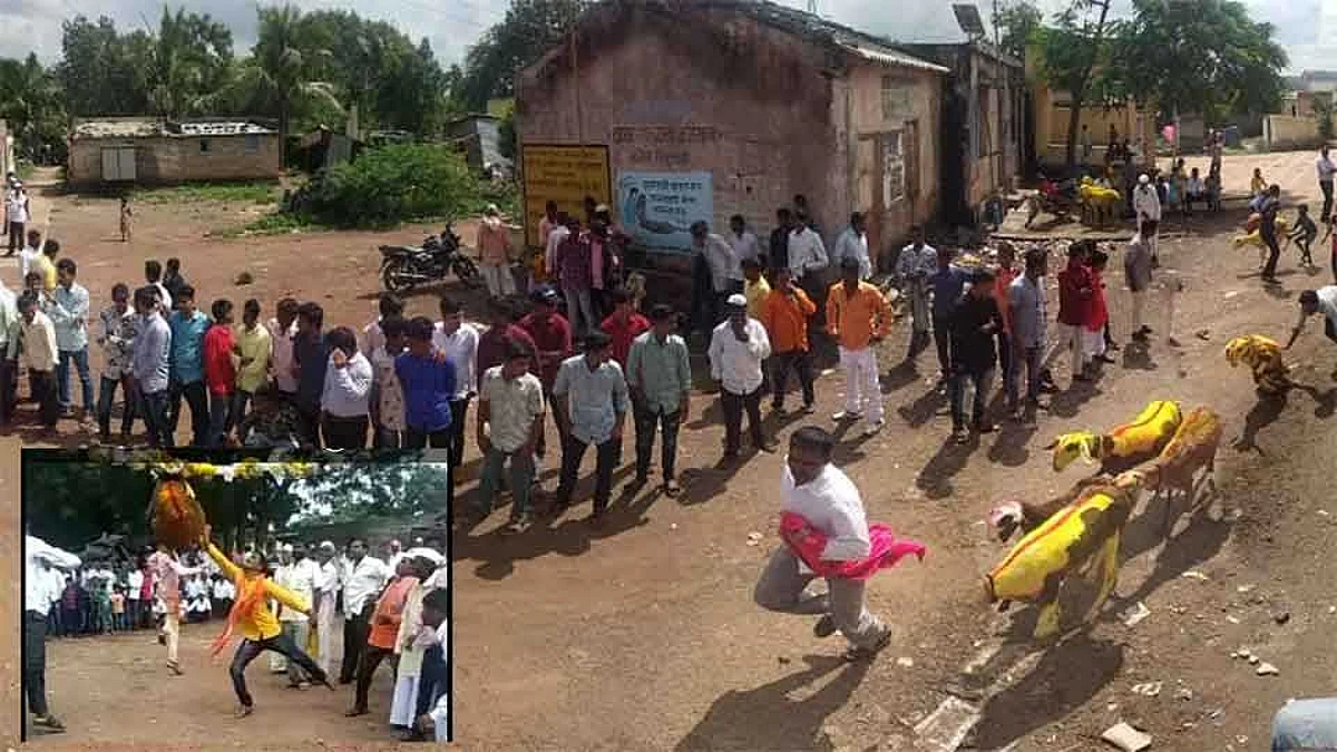 VIDEO | अशी असते मेंढरे पळविण्याची आगळीवेगळी स्पर्धा...