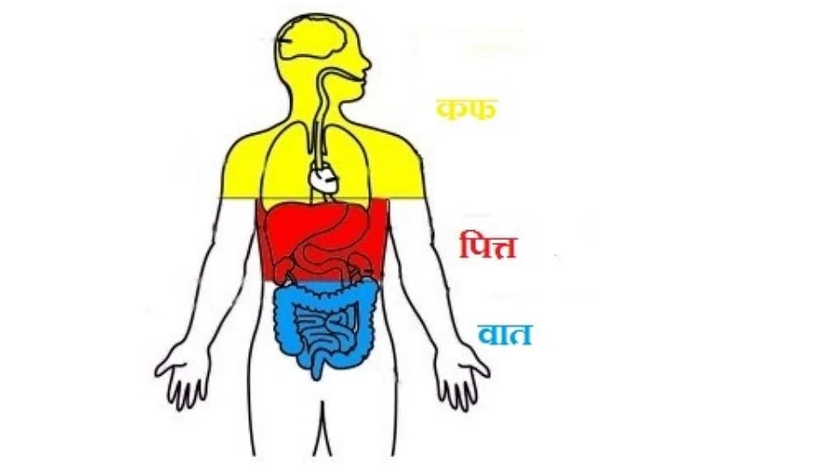 वात, कफ, पित्त दोषामुळे त्वचेवर होतात गंभीर परिणाम; एकदा वाचाच