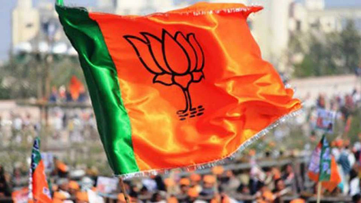 भाजप हा लिमिटेड लोकांचा पक्ष; भाजपच्या माजी आमदाराचा आरोप