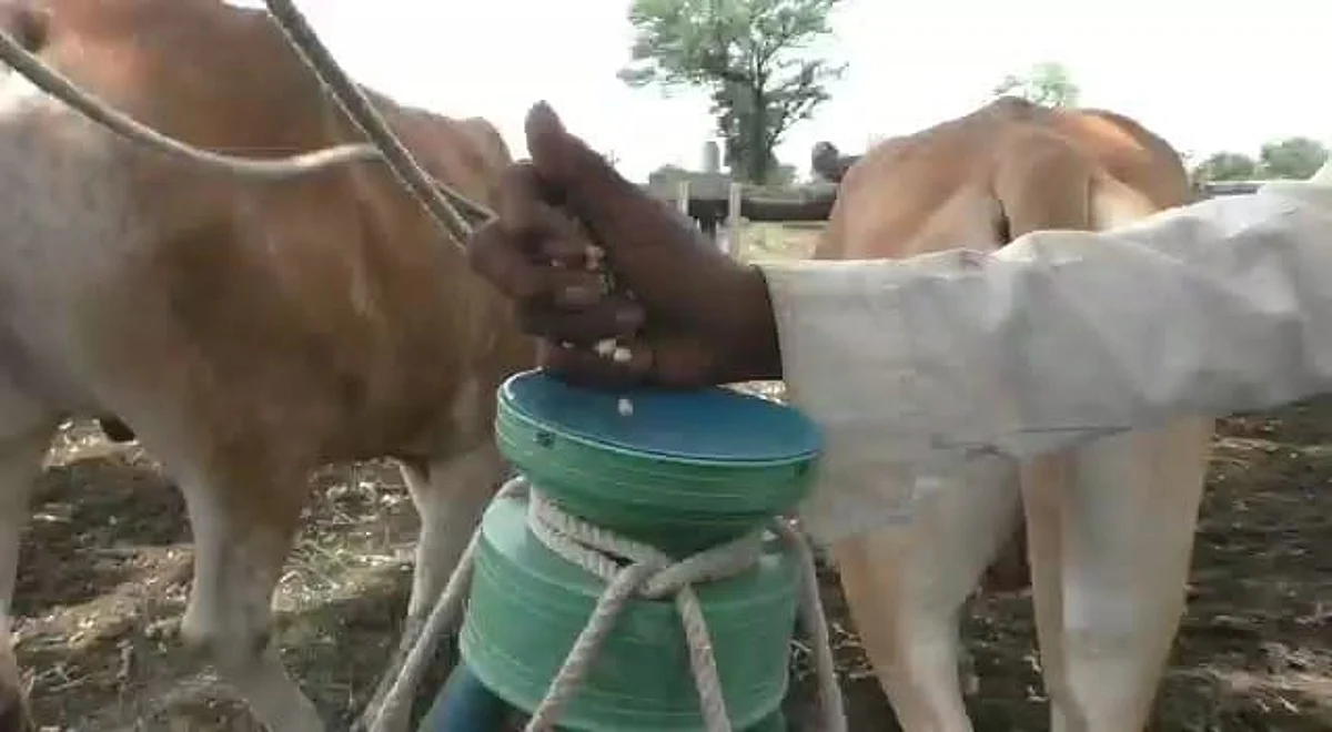 बियाने नसलेल्या शेतकऱ्यांचे नावे यादीत, कृषि विभागाचा गोंधळ