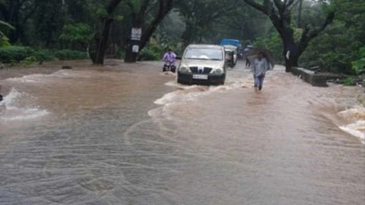मध्यप्रदेशात सुऱू असलेल्या पावसामुळे गडचिरोलीत पूर
