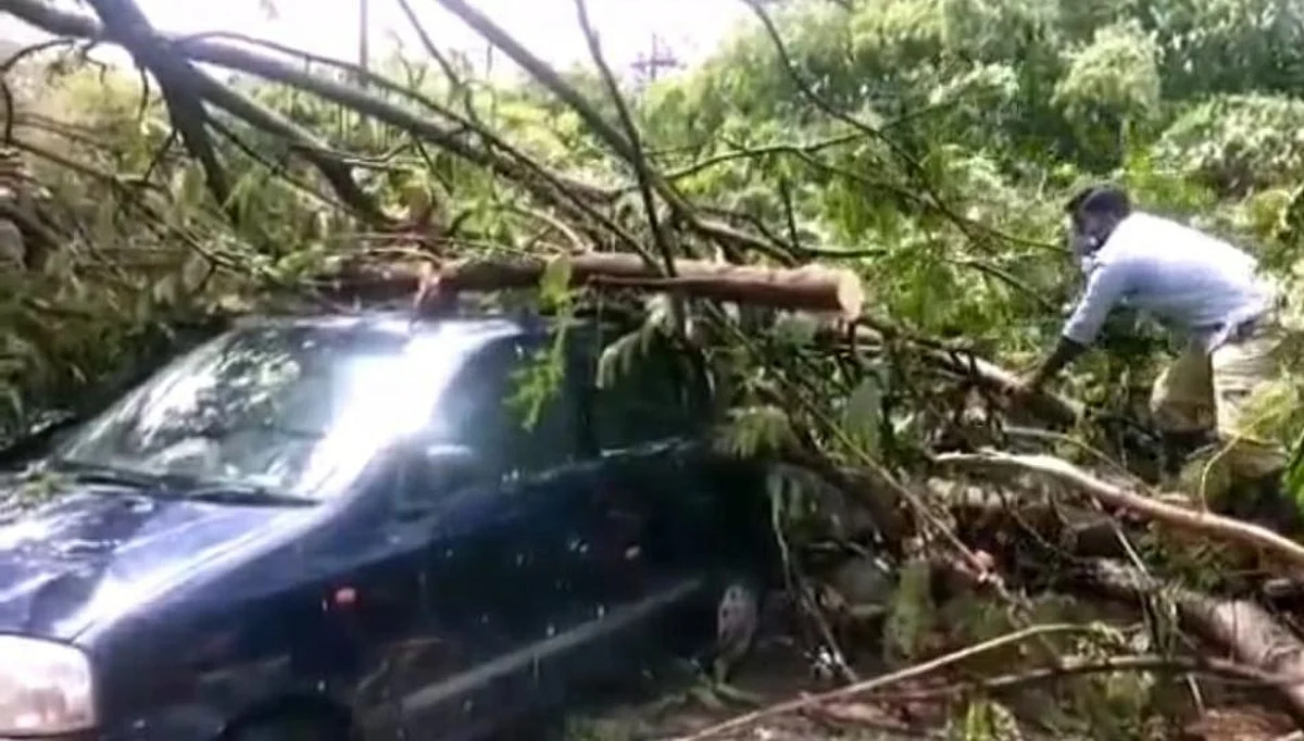 अमरावती शहरात वादळी पाऊस, झाडांची मोठ्या प्रमाणावर पडझड वाहनांचे नुकसान