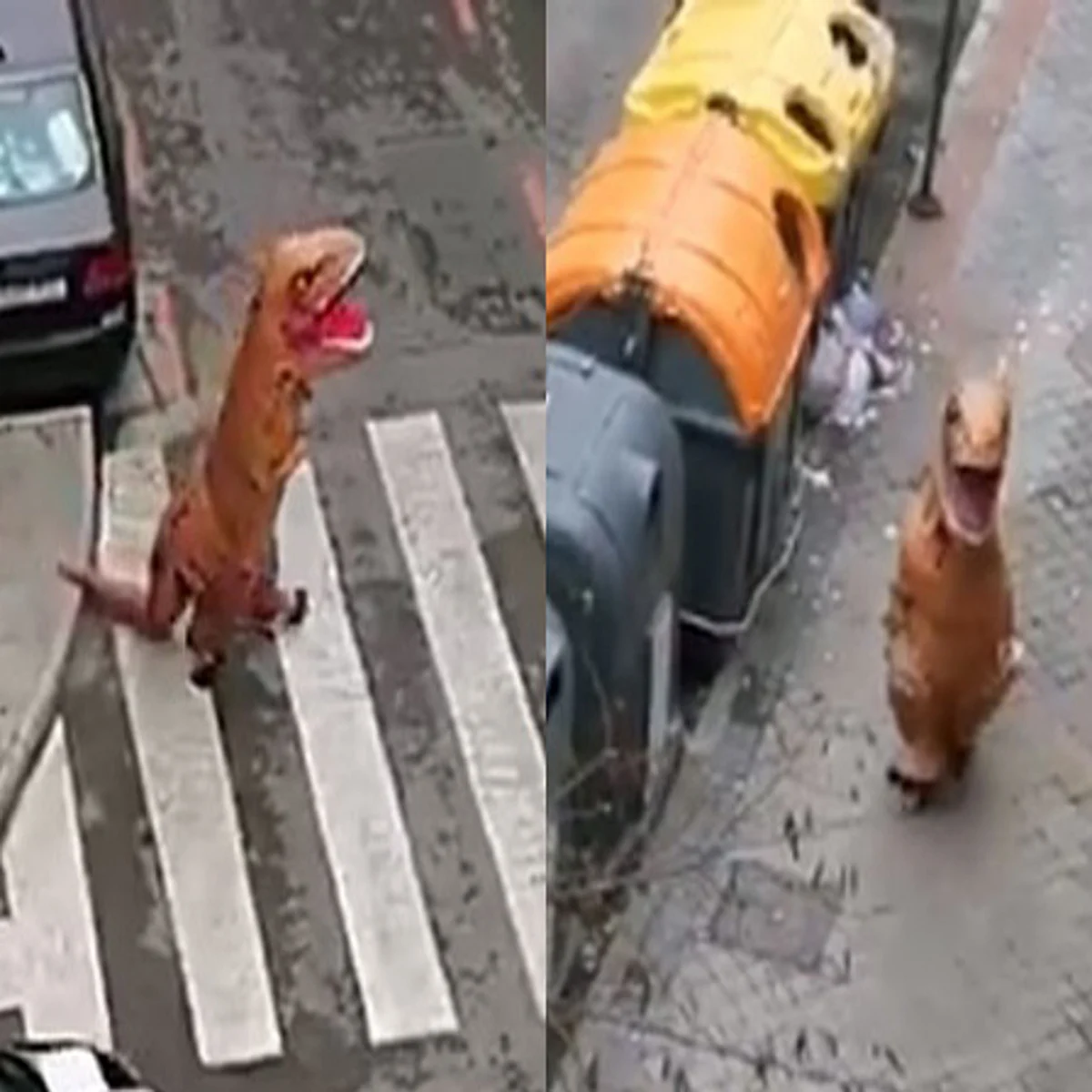 Viral | डायनासोर बनून लोक का फिरतायत रस्त्यावर ?