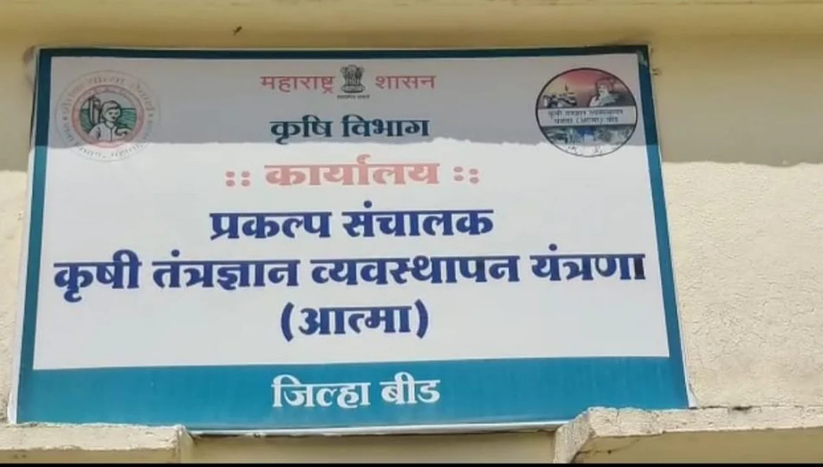 पिकविम्याचा बीड पॅटर्न आहे तरी काय; घ्या जाणून