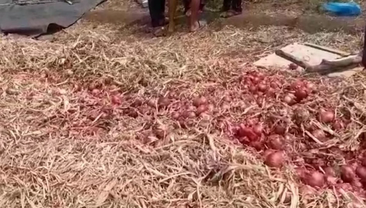मृत्यू झालेल्या शेतकऱ्याचा कांदा विकृताने सडवला