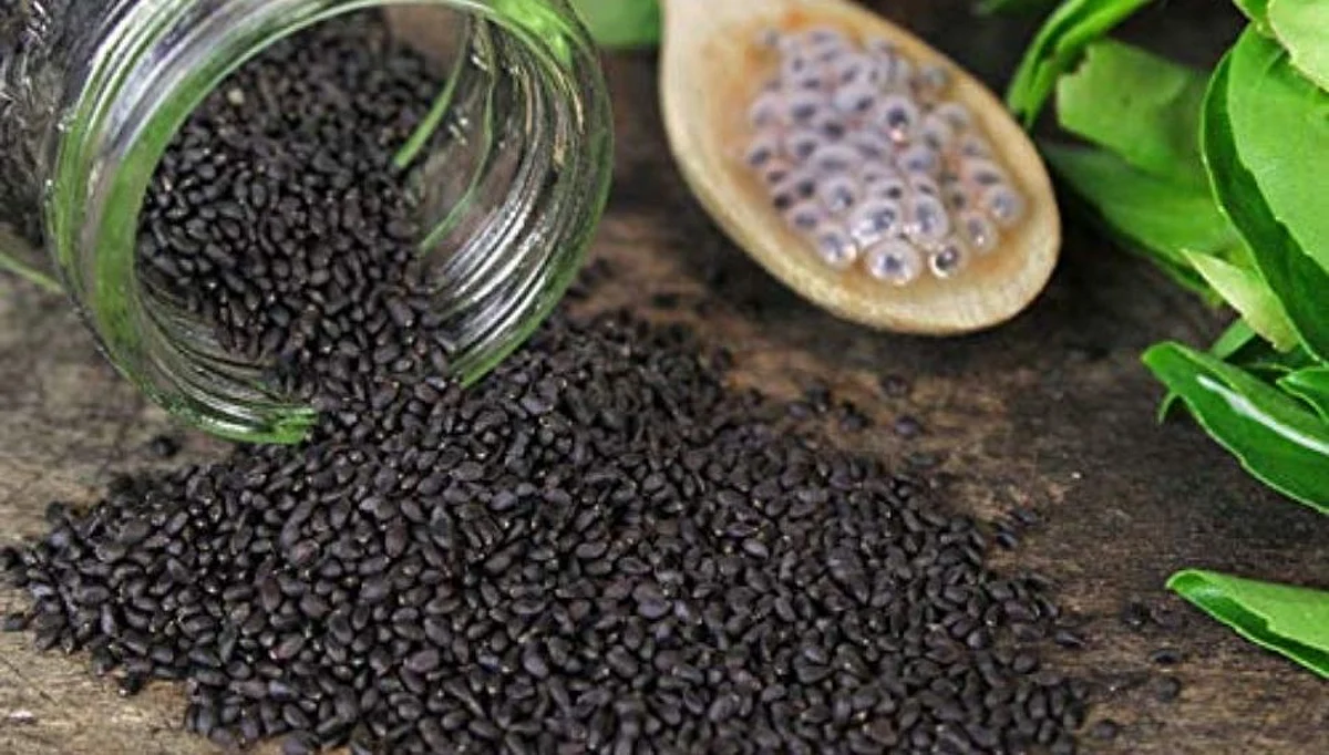 वजन कमी करण्यासाठी 'असे' करा सब्जाचे सेवन