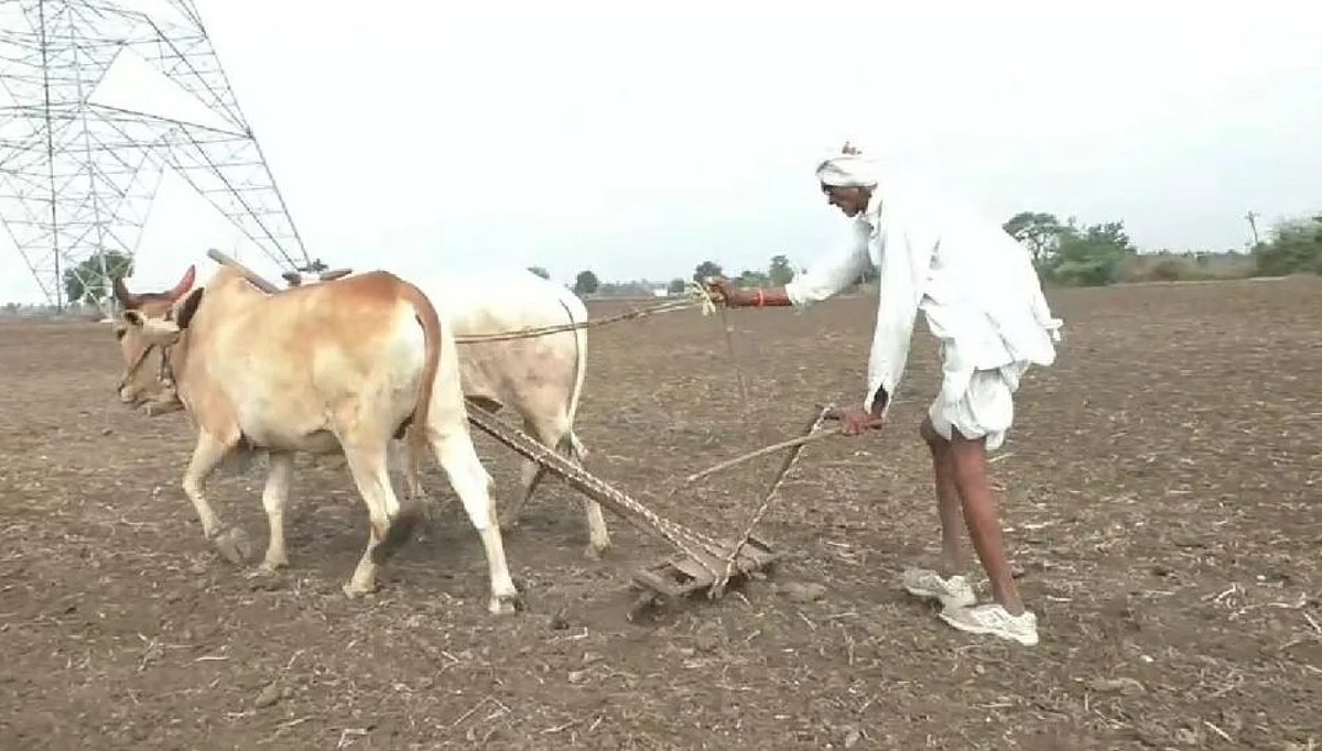 पेरणी पूर्व मशागत अंतिम टप्प्यात; आता वाट मान्सूनची