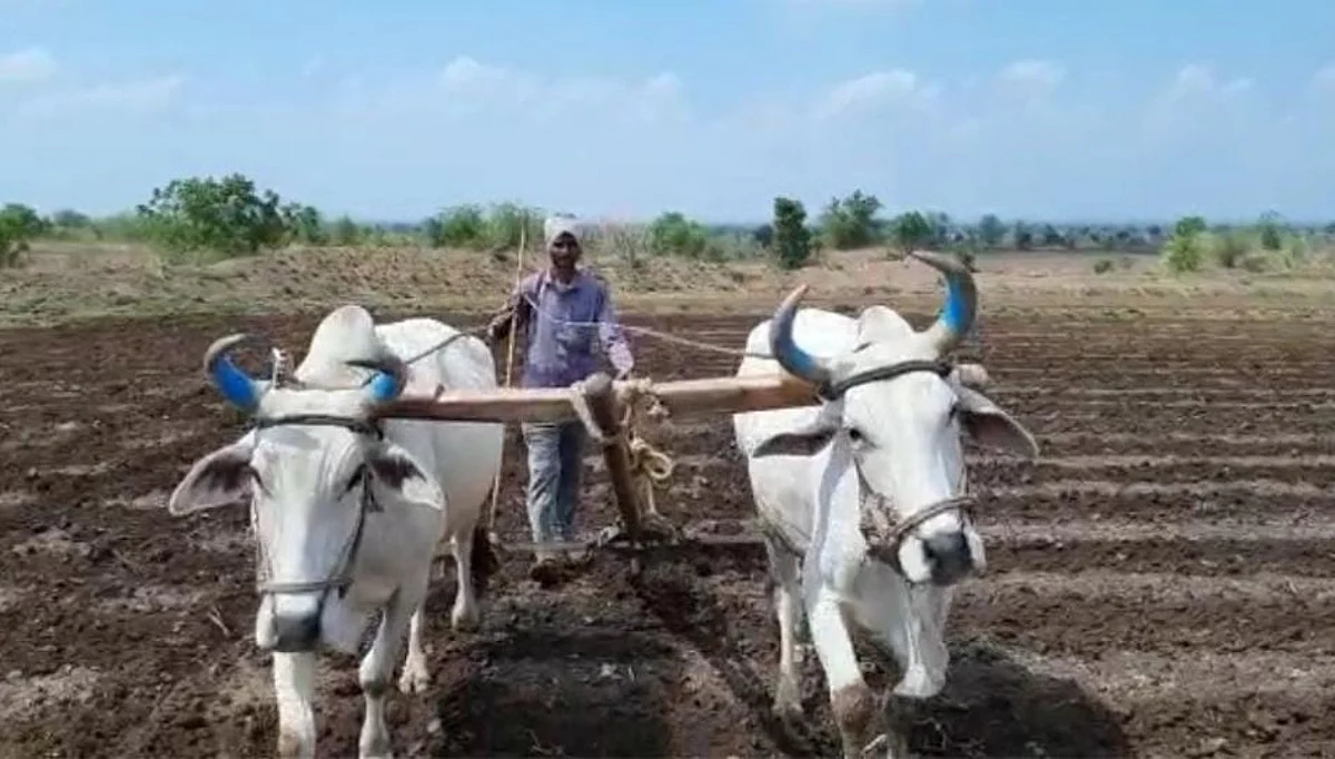 मान्सूनपूर्व कामांची लगबग; शेतात पेरणीसाठी शेतकरी राजा सज्ज