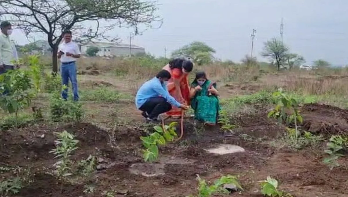 जागतिक पर्यावरण दिनानिमित्त पुण्याच्या नरेश्वर डोंगरावर वृक्षारोपन