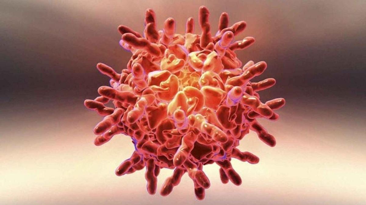 Disease X Virus धोक्याची घंटा! डीजीज एक्स कोरोनापेक्षा सातपट अधिक