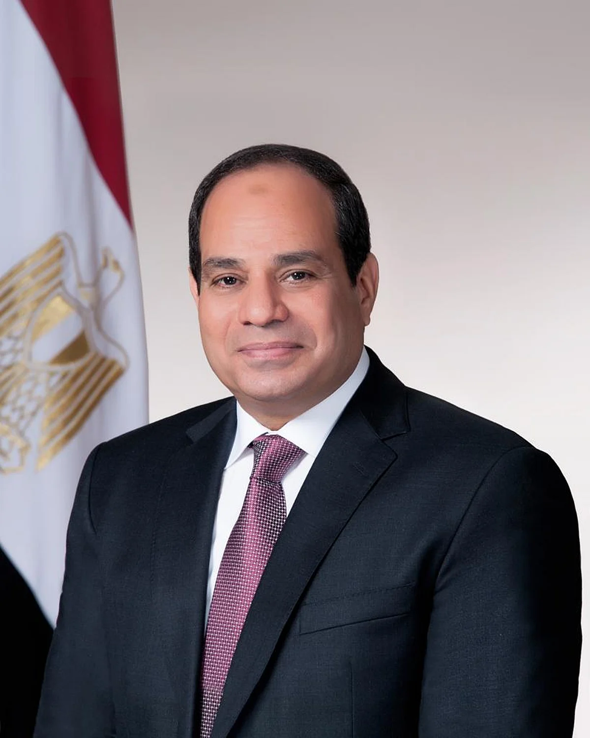 رئيس جمهورية مصر العربية عبدالفتاح السيسي