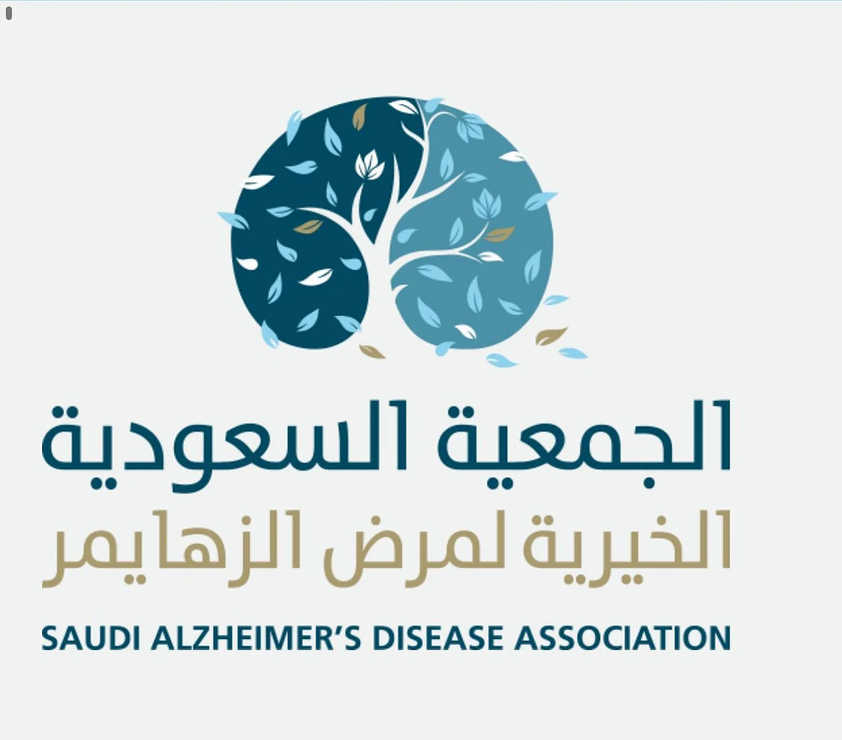 عن بعد .."الزهايمر" تعقد عموميتها الـ12 وتستعرض خطتها التشغيلية للعام الجديد