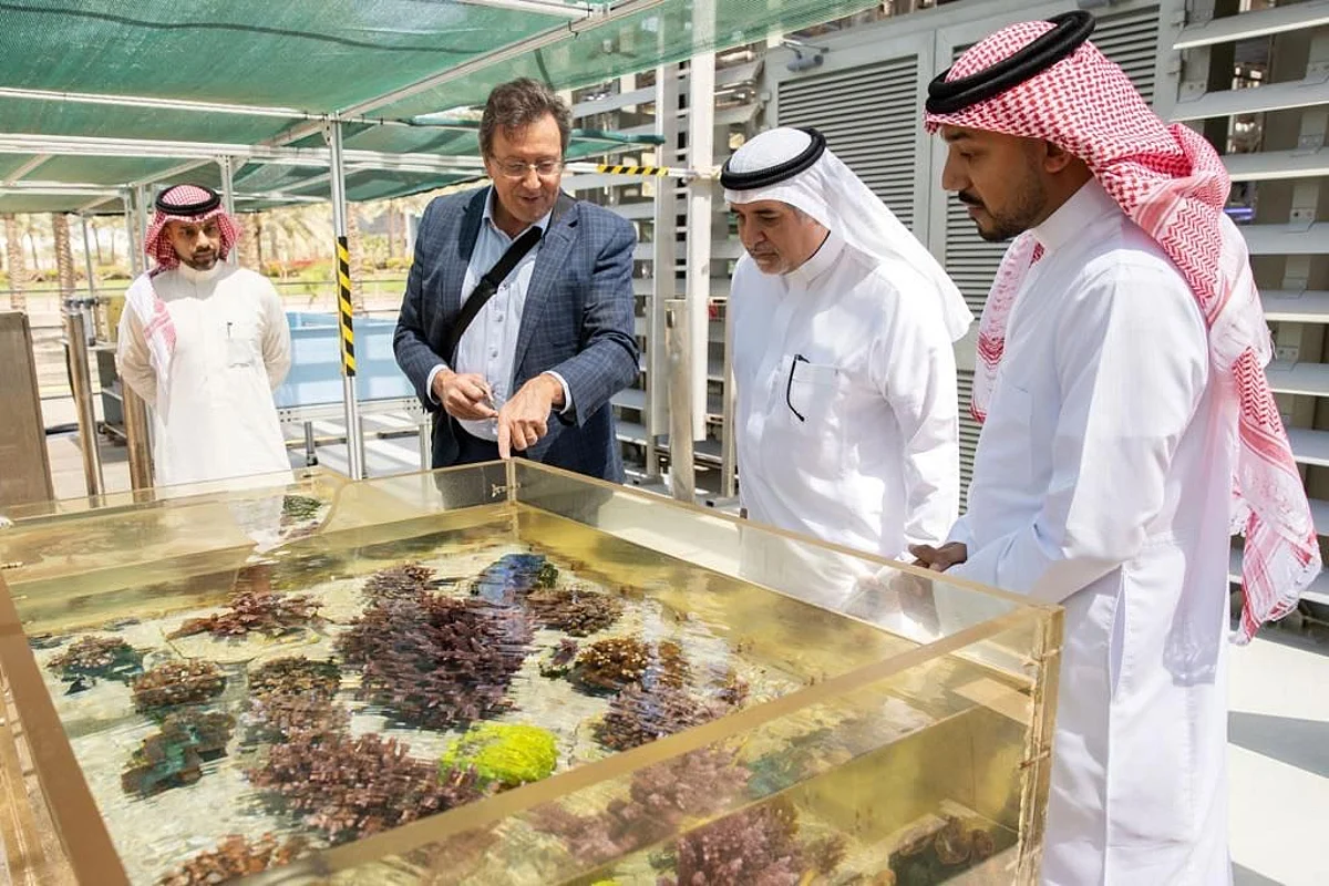 "كاوست" تحصد منحة "أمازون" لمشروع المحافظة على الشعاب المرجانية بسواحل السعودية