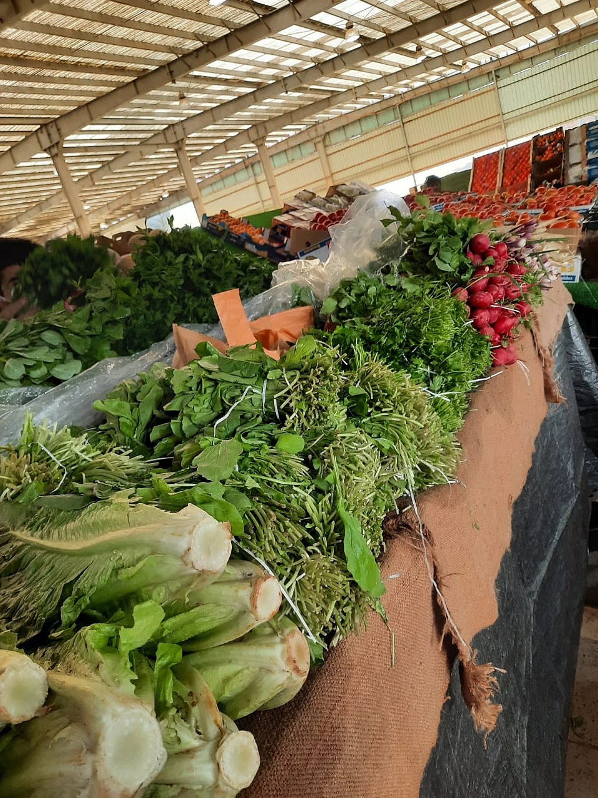 "زراعة عسير".. جولات مكثفة تشمل أسواق النفع العام والمسالخ