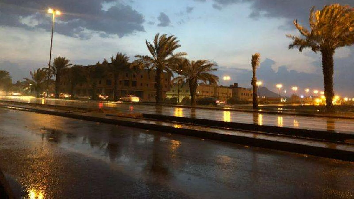 حالة أمطار رعدية ورياح نشطة على المدينة المنورة.. والأرصاد ينبه