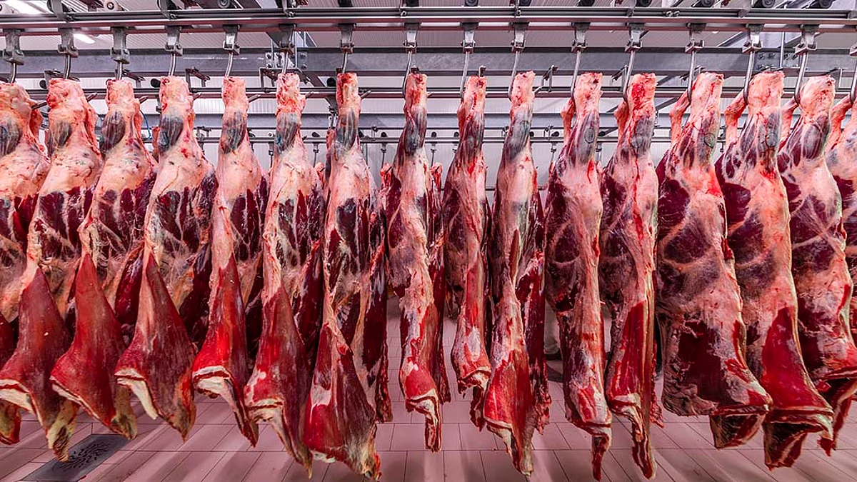 السعودية ترفع القيود المفروضة على "عمر" منتجات اللحوم الأيرلندية