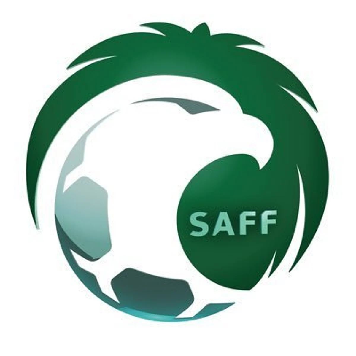 "من اختصاص الفيفا".. "اتحاد القدم" يرد على شكوى النصر ضد أحد لاعبي الاتحاد
