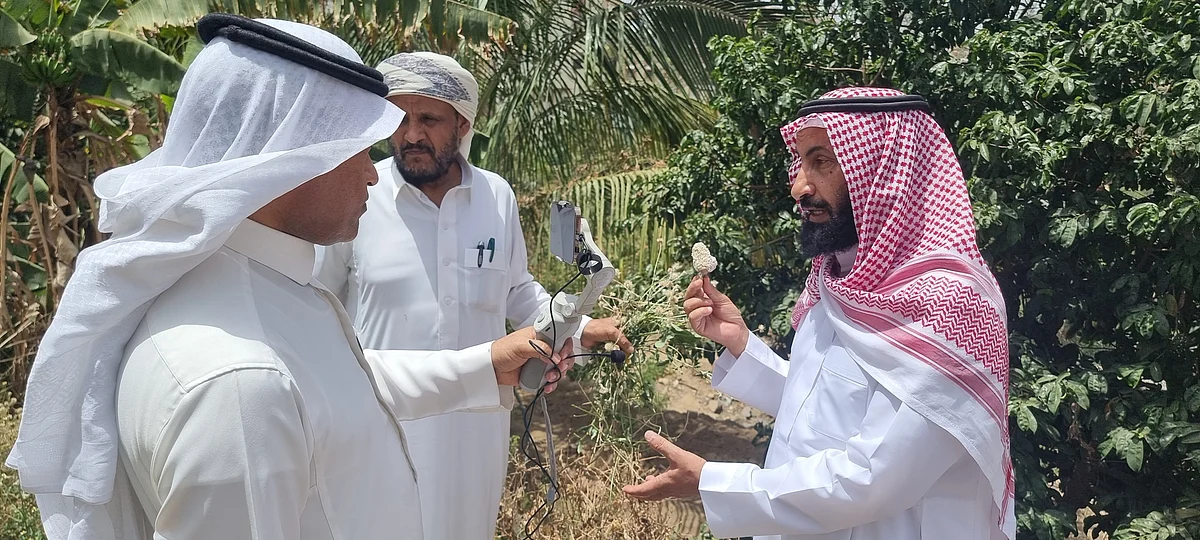 تفاعلاً مع "سبق".. لقطات من تفقد باحثين جبال جازان لمكافحة البق الدقيقي