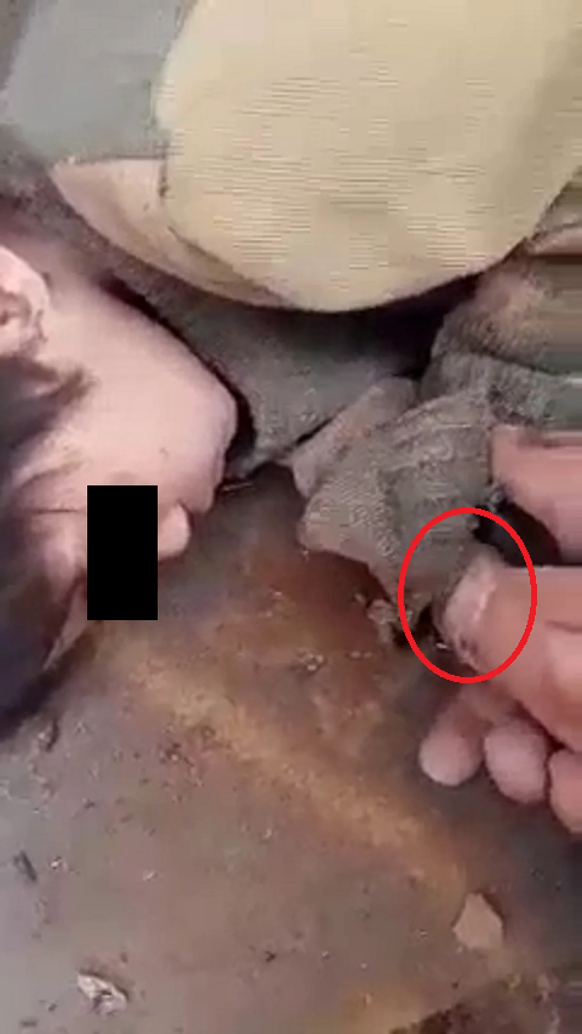 شاهِد: تقييد طفلة والتنكيل بها في سوريا.. والمتهم أحد أقاربها
