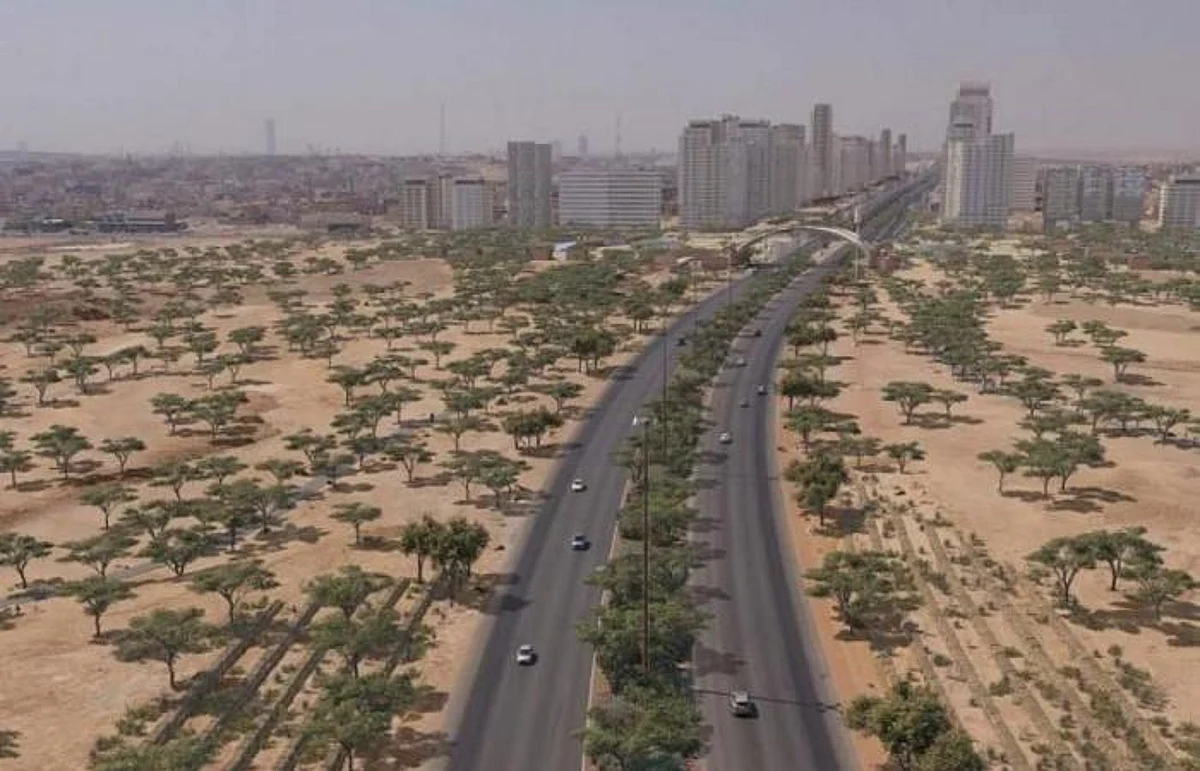 تشجير أكثر من 350 موقعًا حول المملكة بمشاركة 68 ألف متطوع في حملة لنجعلها خضراء
