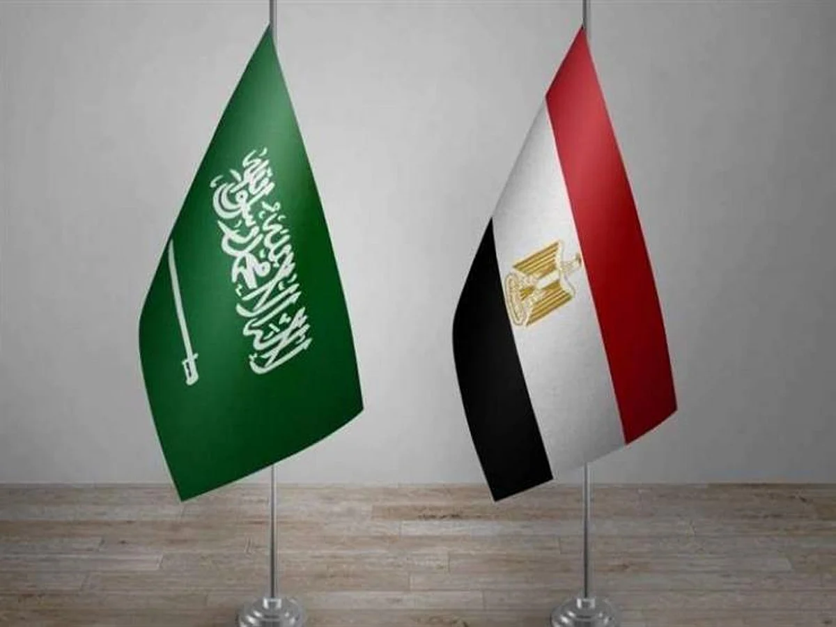 السعودية ومصر.. ارتقاء بالعلاقات الثنائية إلى مستوى الشراكة الإستراتيجية