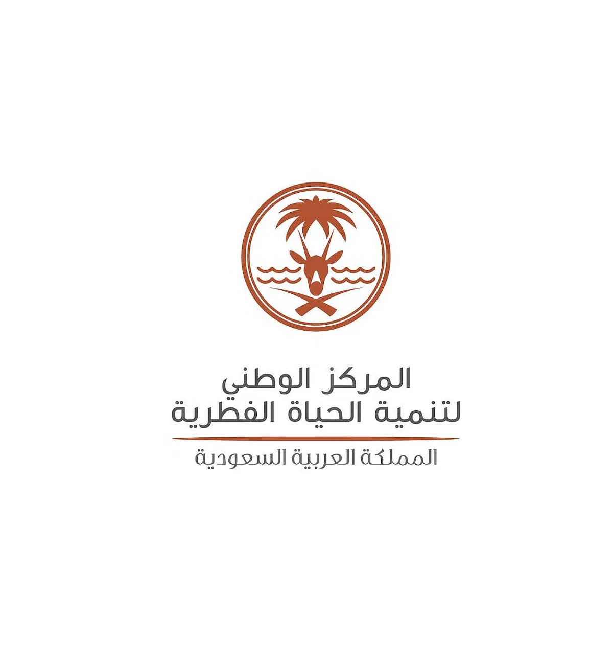 أول مولود للمها العربي يبصر النور في محمية الملك سلمان الملكية