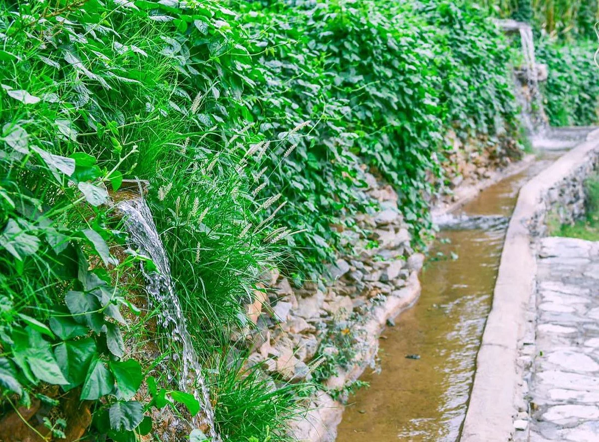 قرية "الأطاولة" بالباحة.. حاضنة الماضي التليد والعصر الجديد