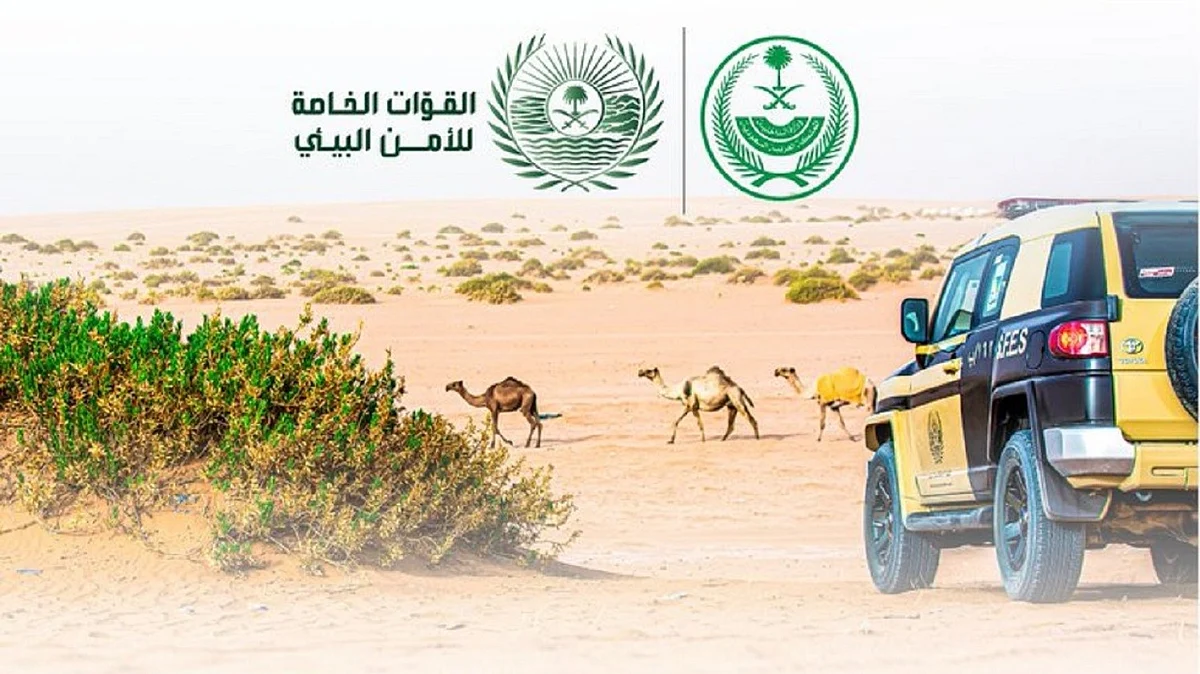 "الأمن البيئي" يطيح بـ31 مخالفاً لارتكابهم مخالفاتِ رعي في عدد من المناطق