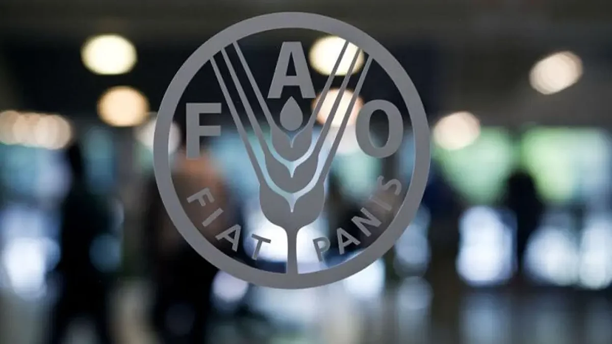 "الفاو": ستنفق الدول 1.8 تريليون دولار على استيراد المواد الغذائية هذا العام