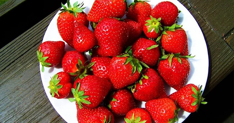 sabq%2F2022-07%2F2117360c-fac5-49a6-abce-a4632a77e3b9%2FStrawberries.jpeg
