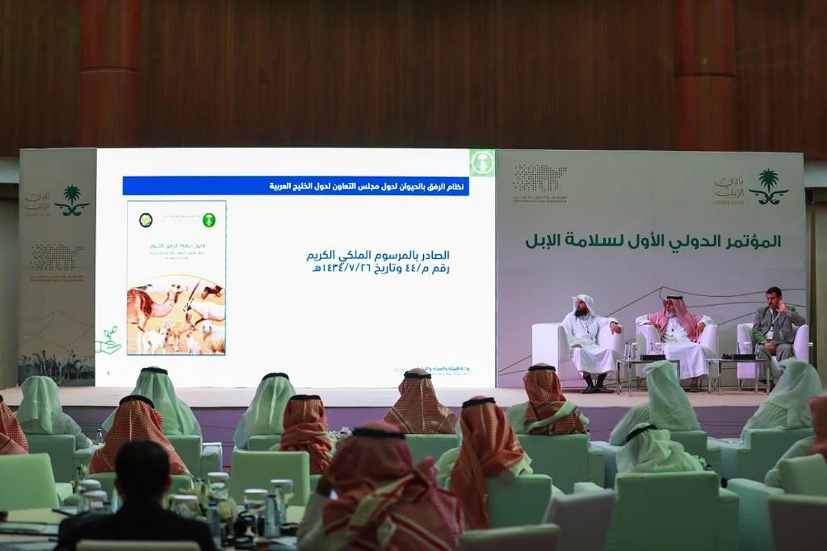 مؤتمر "سلامة الإبل" يوصي بعقد دورات للمُلاك لتجنُّب اللجوء للعبث