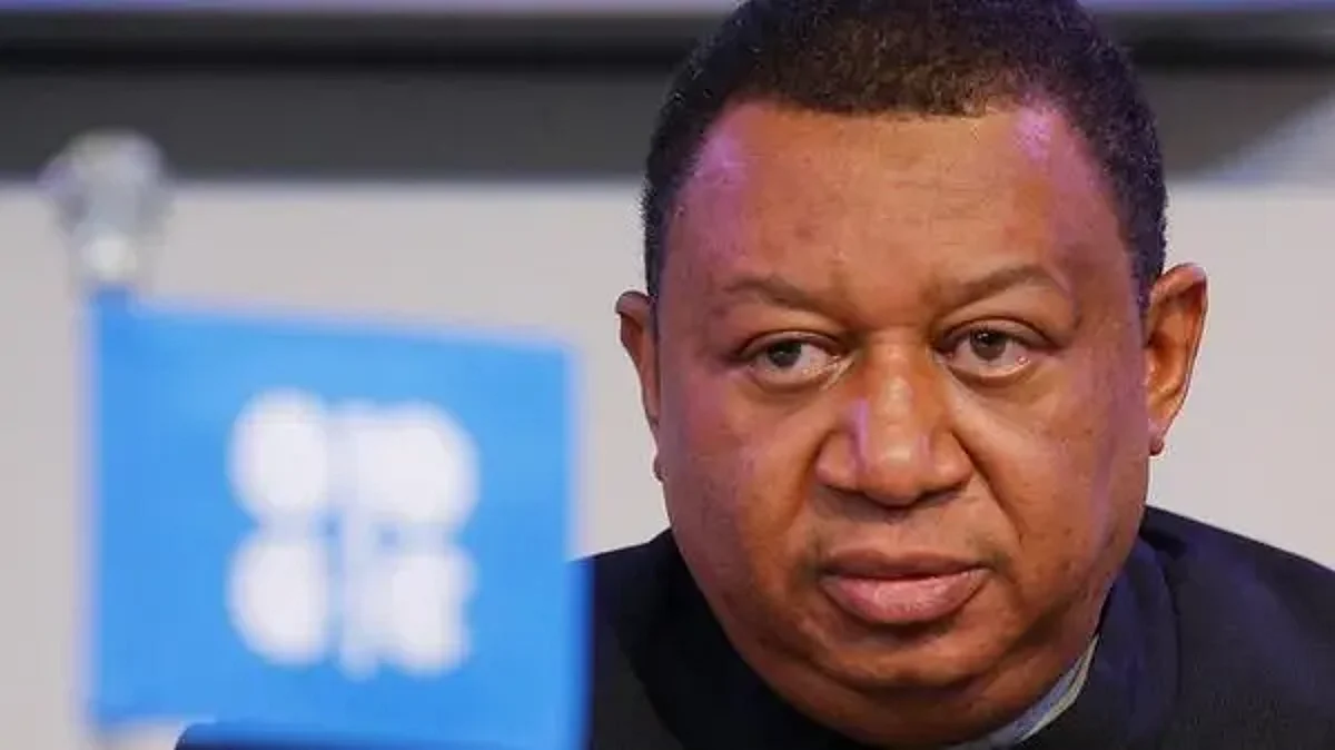 أمين عام منظمة أوبك محمد باركيندو