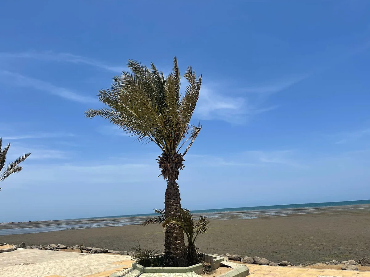 انحسار مياه البحر في شواطئ محافظة القنفذة