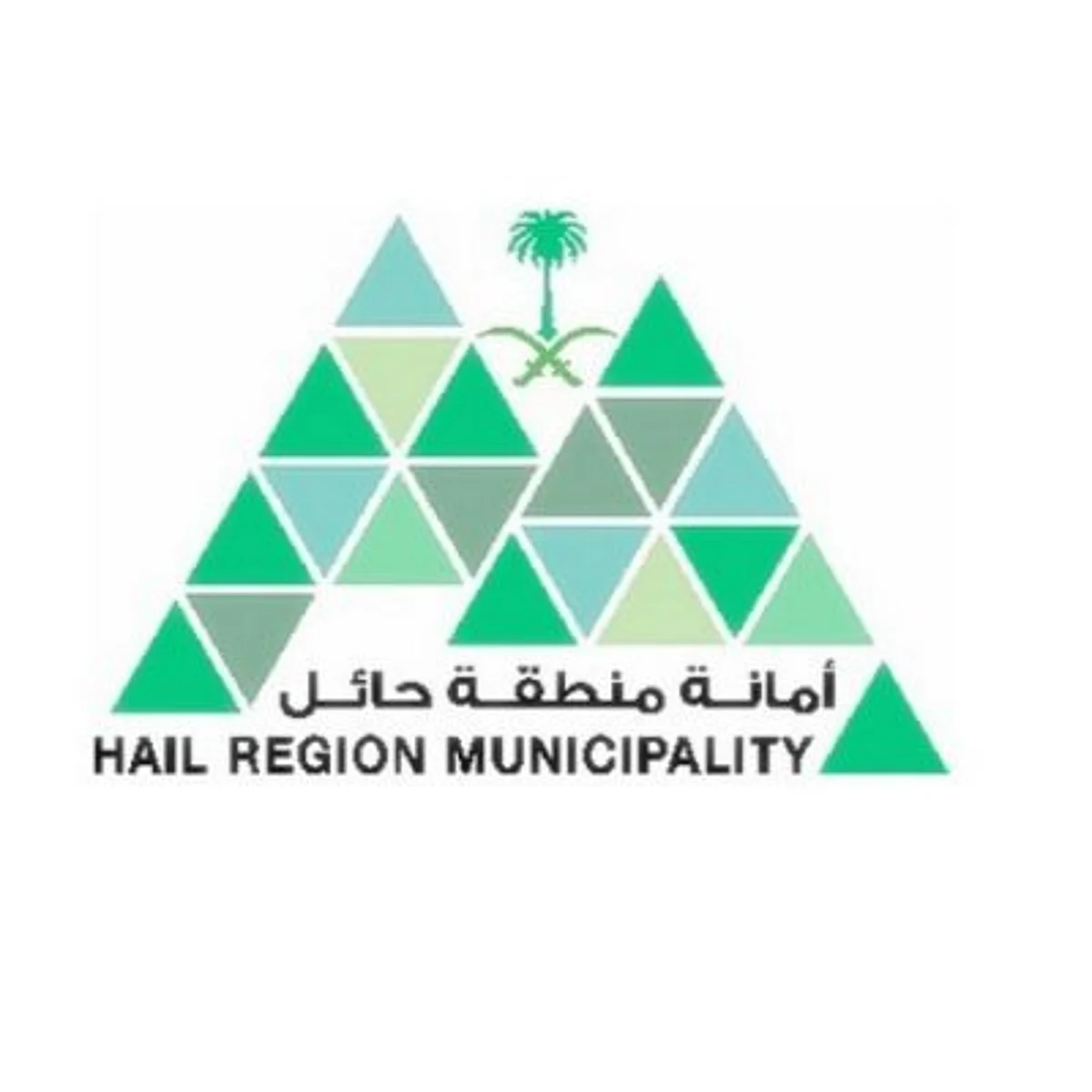 حائل.. إطلاق خدمات المتاجر المتنقلة عبر "بلدي" وإتاحة إصدار الرخص