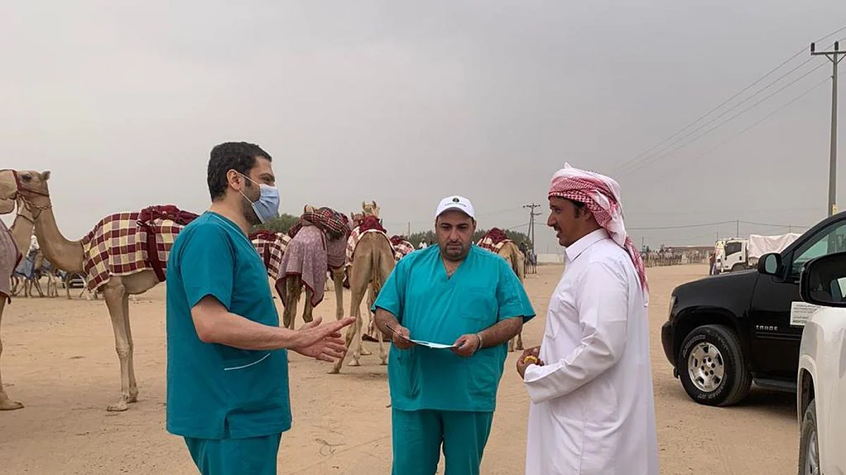 إجراء 108 كشف ظاهري للإبل المشاركة بمهرجان ولي العهد للهجن