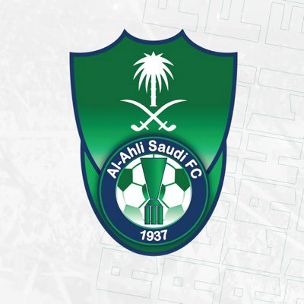 الأهلي يحصل على شهادة الكفاءة المالية