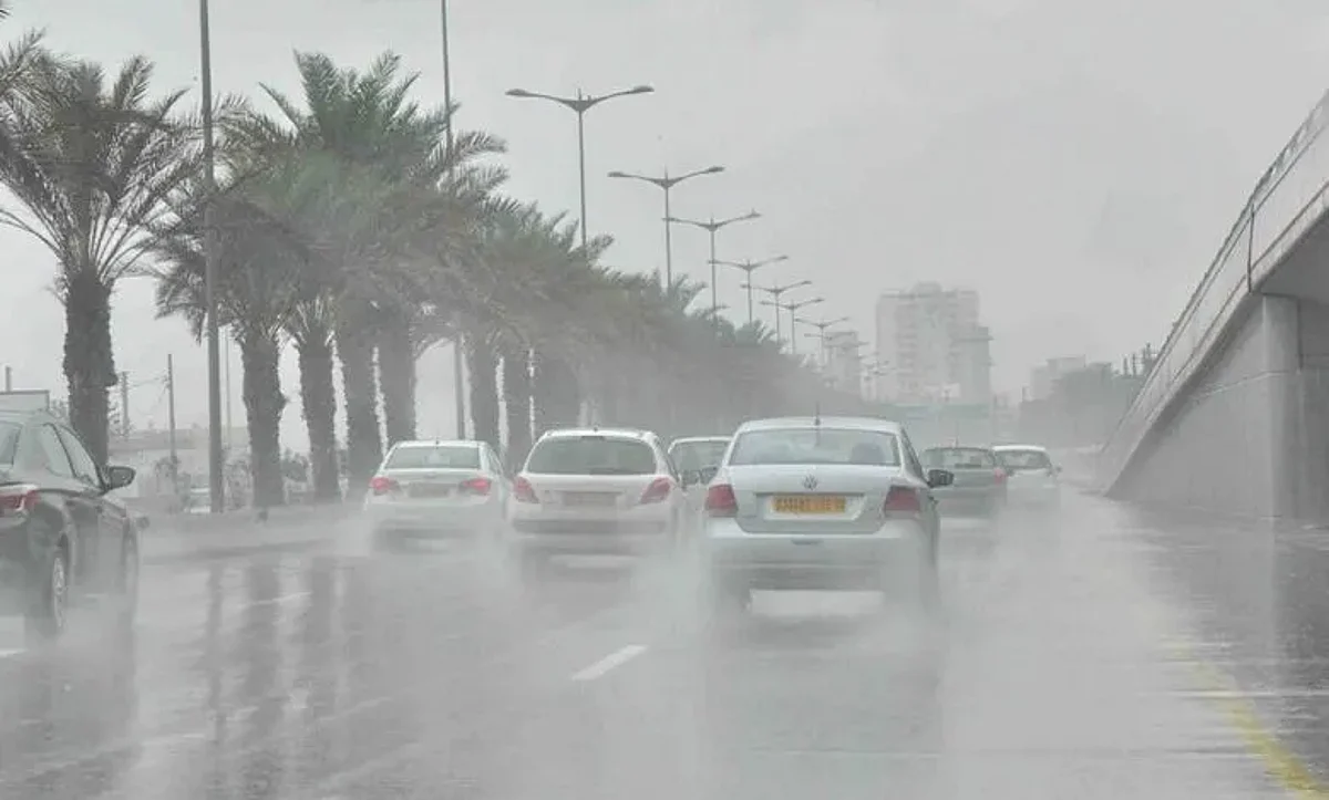 "الأرصاد": أمطار وضباب على منطقة عسير حتى الساعة الـ 8 مساءً