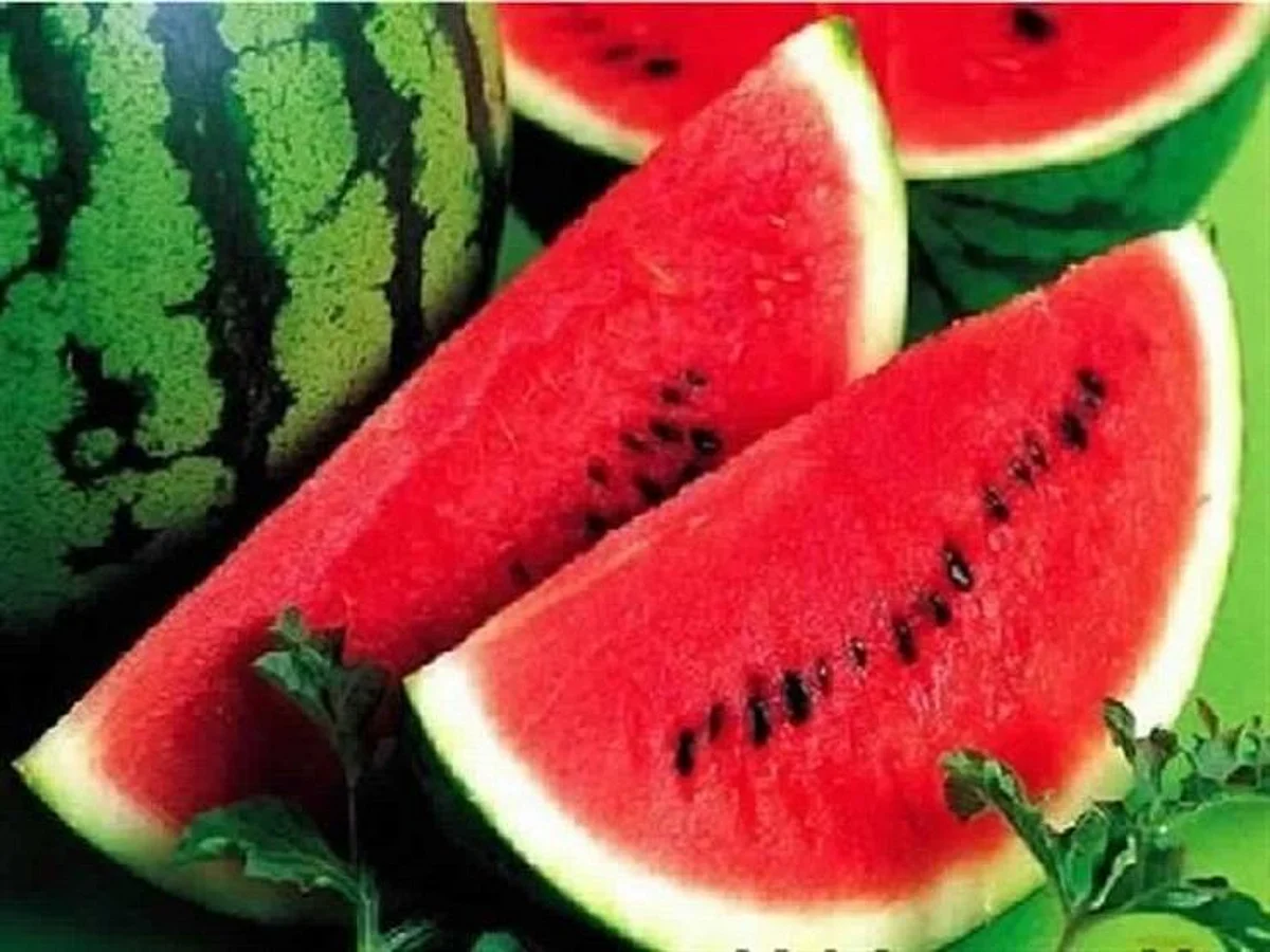 هل البطيخ غذاء أم وجبة خفيفة؟.. خبيرة تكشف الفرق وتحدّد وقت تناوله
