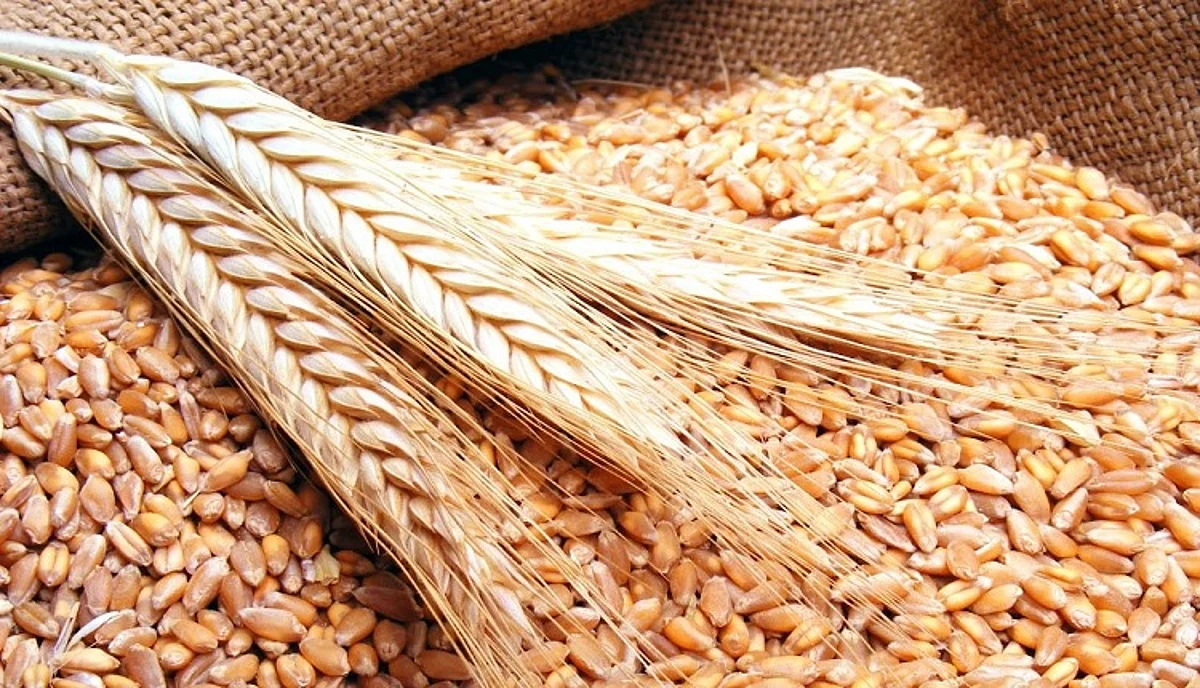 الاستثمار الزراعي بالخارج.. أذرع سعودية خضراء لتحقيق الأمن الغذائي