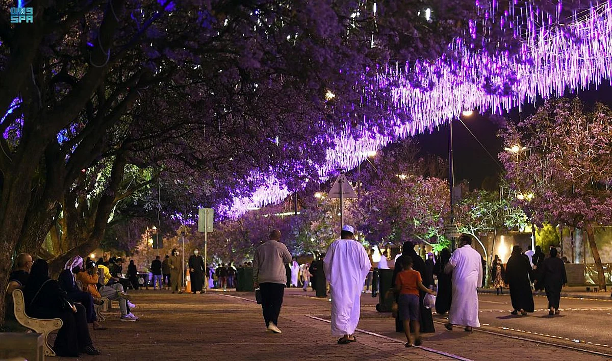 شارع الفن في أبها