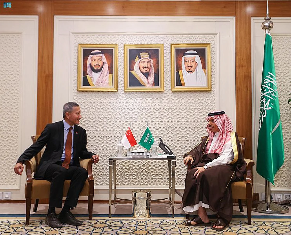 وزير الخارجية يستقبل نظيره السنغافوري