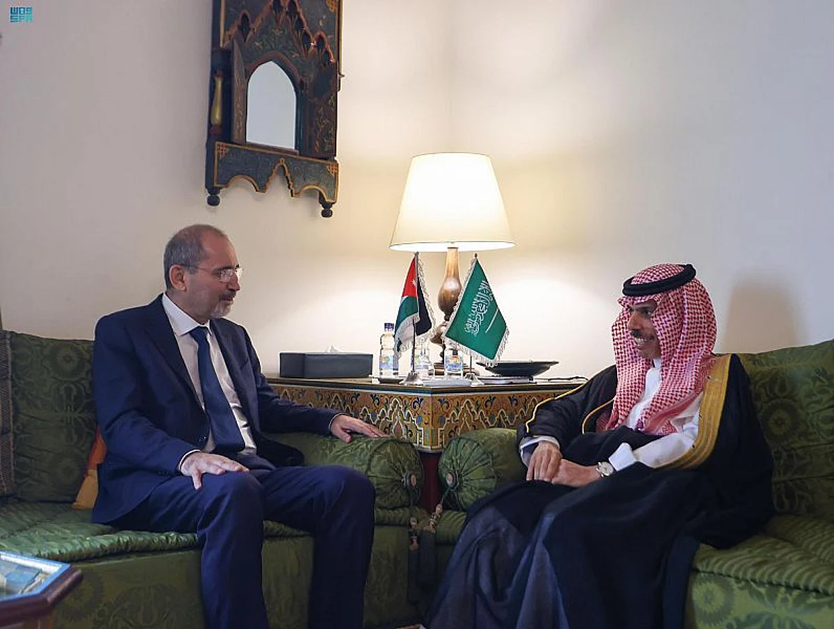 وزير الخارجية يلتقي نائب رئيس الوزراء الأردني