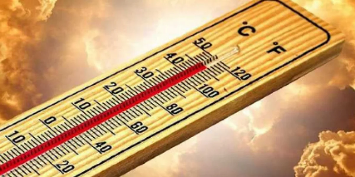 46 مئوية.. العلا والأحساء أعلى درجة حرارة بالمملكة وأبها والباحة الأدنى
