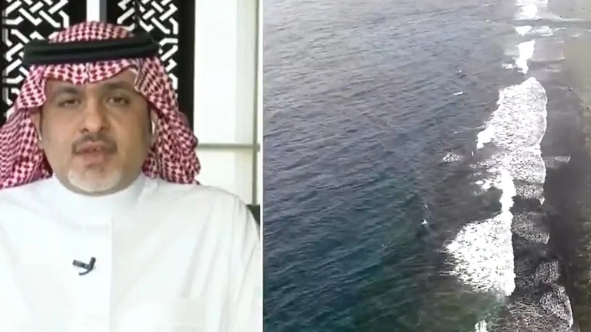 الرئيس التنفيذي لمكتب إدارة مشاريع محافظة جدة المهندس أيمن منسي