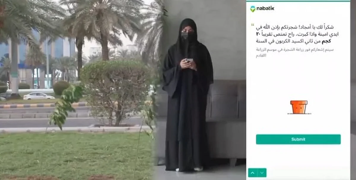 أمانة العاصمة المقدسة تطلق مبادرة "التشجير الرقمي"