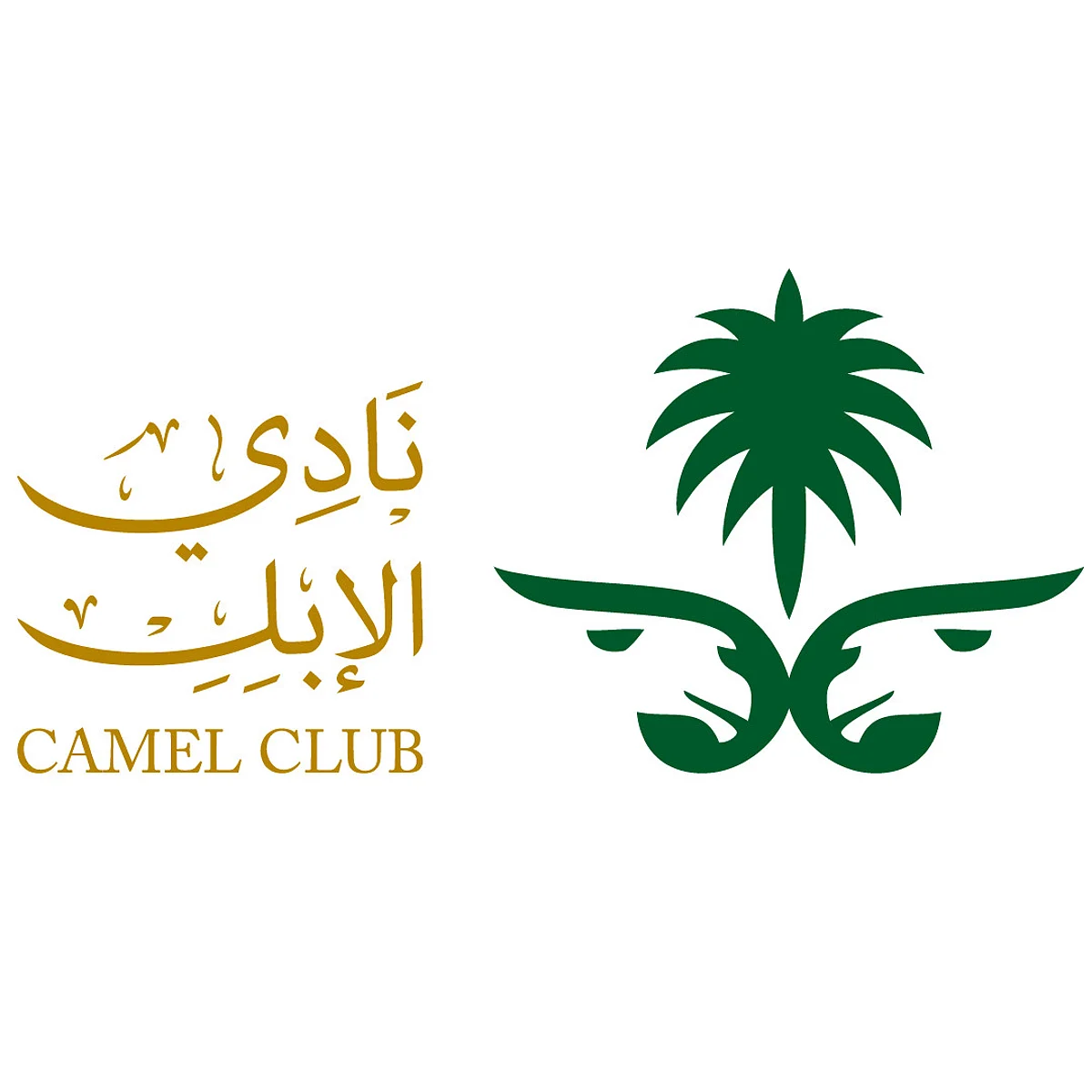 انطلاق المهرجان الدولي الثاني للإبل في فرنسا 17 سبتمبر الجاري