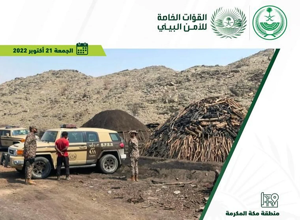 ضبط مقيم ومخالف لقيامهما بقطع الأشجار وتخزينها وتفحيمها بمكة المكرمة