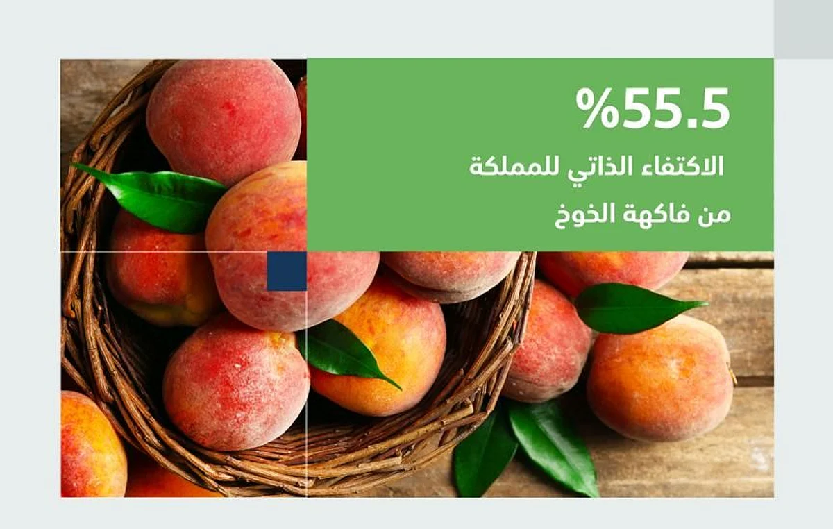 "البيئة": المملكة تنتج 22.2 ألف طن من الخوخ سنويًّا وتحقّق اكتفاءً ذاتيًّا بنسبة 55.5%