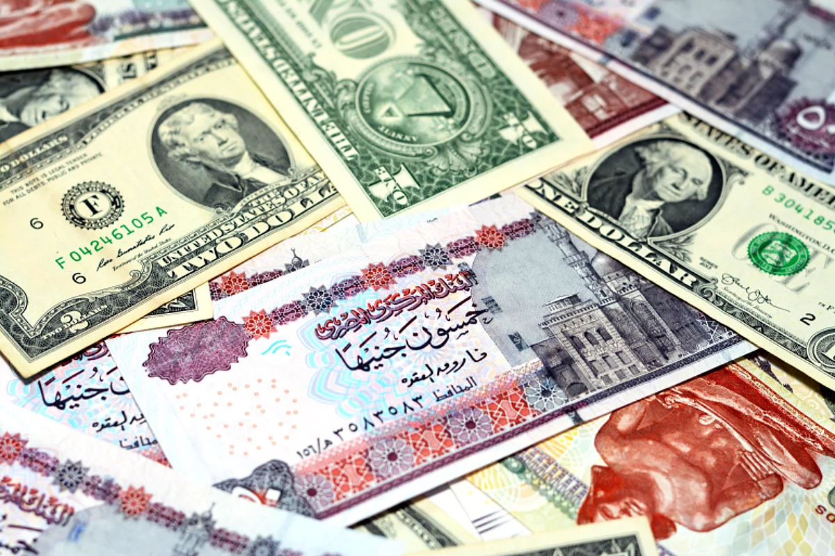 اقترب لأول مرة من 25 جنيهًا.. صعود جديد للدولار في مصر