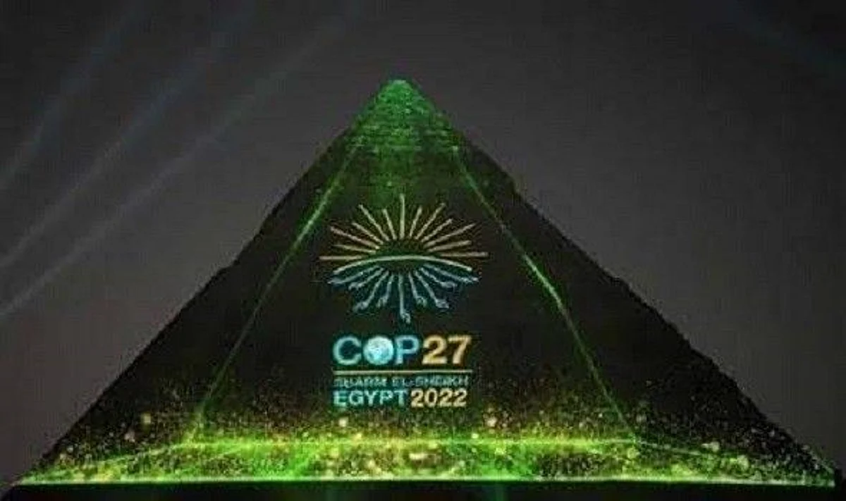 جائحة جديدة ووفيات أكثر.. ما التأثيرات المحتملة لظاهرة "تغير المناخ"؟